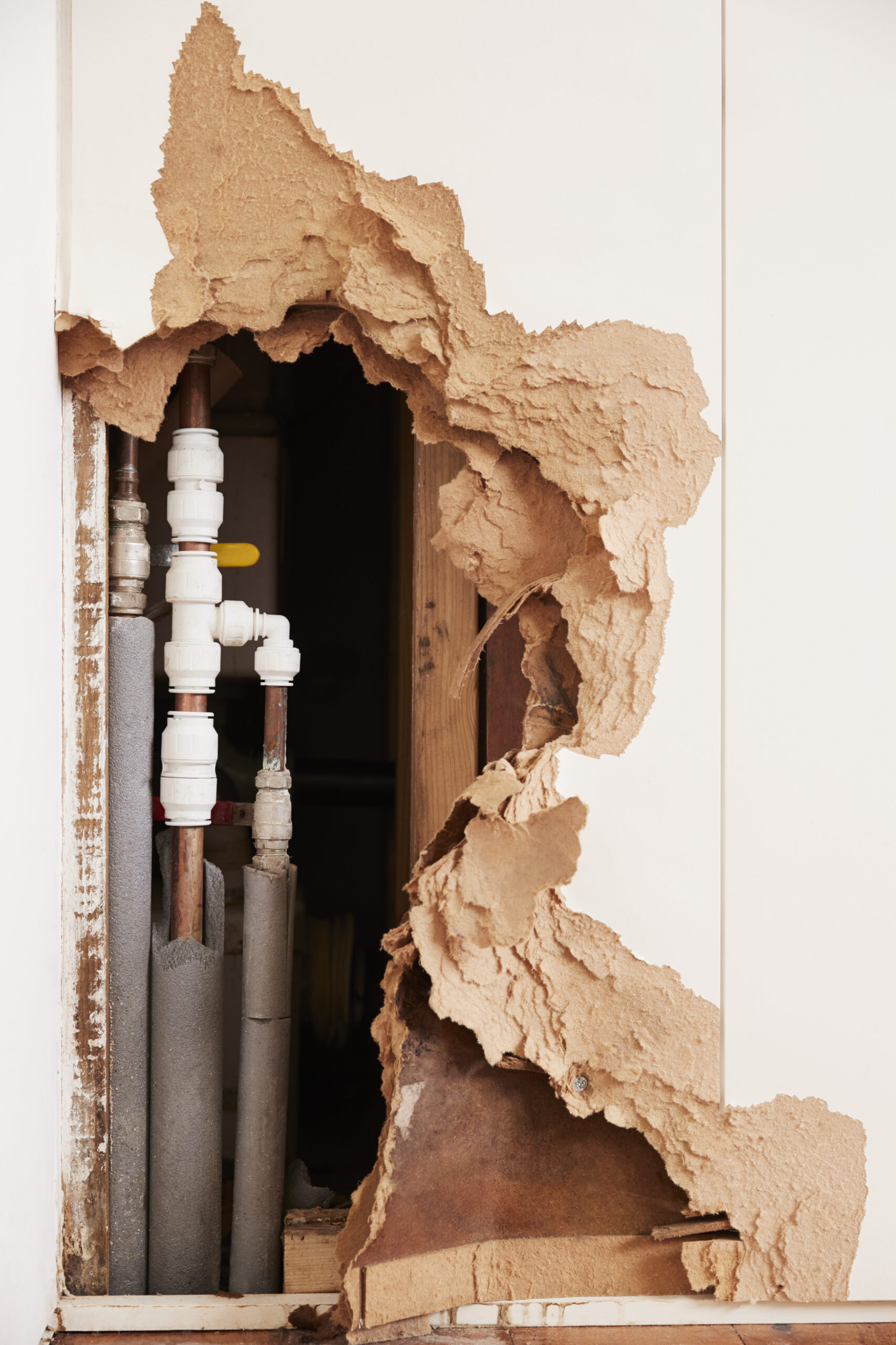 burst pipes alexandria